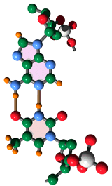 [image of a single DNA base pair]